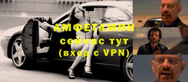 шишки Белоозёрский