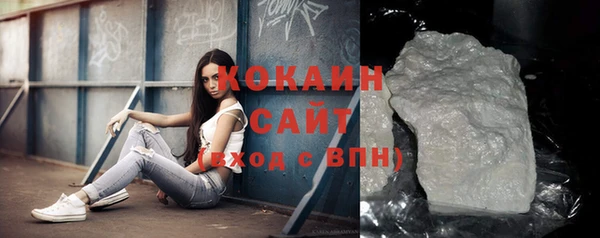 шишки Белоозёрский
