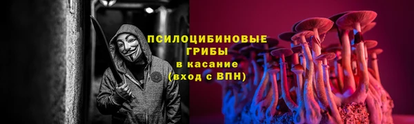 шишки Белоозёрский