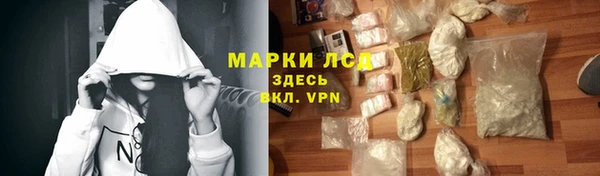 spice Белокуриха