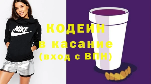 шишки Белоозёрский