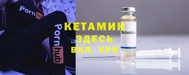 шишки Белоозёрский