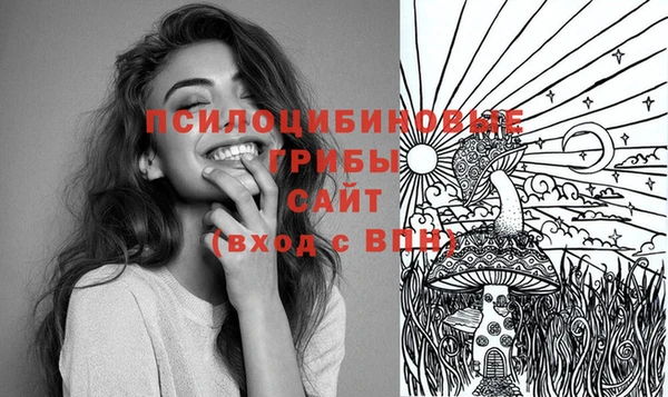 шишки Белоозёрский