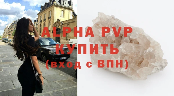 шишки Белоозёрский