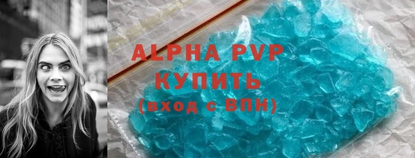 шишки Белоозёрский