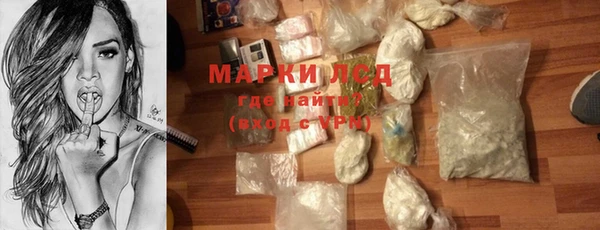 шишки Белоозёрский
