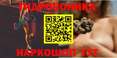 СК Ачхой-Мартан