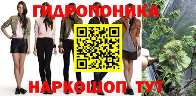 СК Ачхой-Мартан