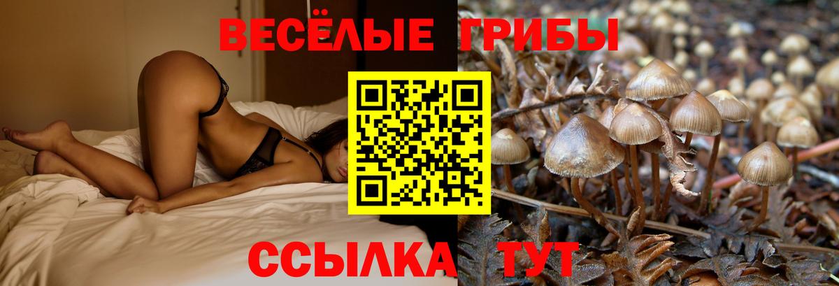 Галлюциногенные грибы MAGIC MUSHROOMS  Вход с VPN  Псилоцибиновые грибы Cubensis  Великий Устюг 